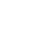 Digital Services Icon1