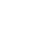 Digital Services Icon2