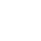 Digital Services Icon5