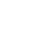 Digital Services Icon6